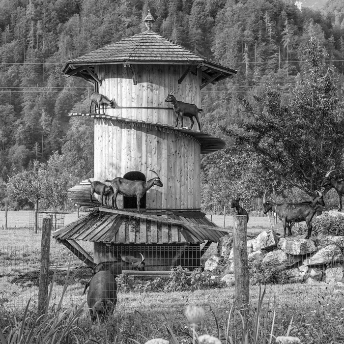 Faistenau, Oberösterreich