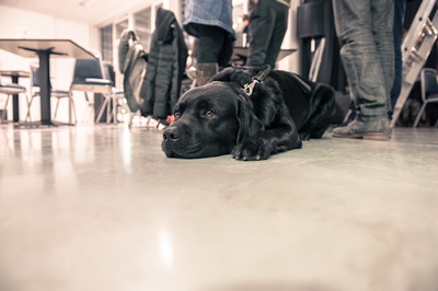 Dietmar Steiner show_CreditForum Stadtpark (13)