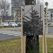 Im Archiv. Wo ist das Stadtbegrün im Winter?