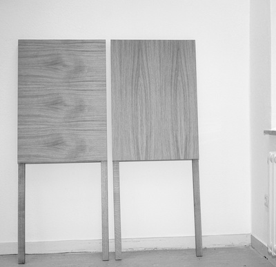 ›Die edlen Hintergründe der Wahlwerbung‹, Eichenholz, 2010