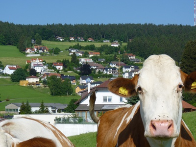 Zersiedelung