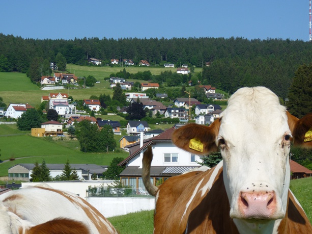 Zersiedelung – © Ulrich Aspetsberger, caramel Architekten Zersiedelung