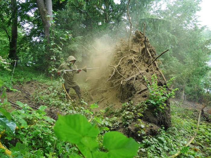 Wurzelraum