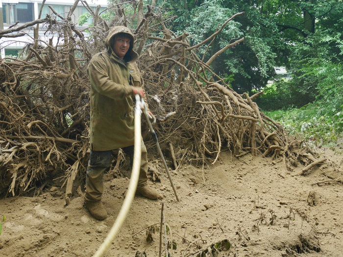 Marcus Geyer-Grois (http://www.arborist-baumpflege.at)