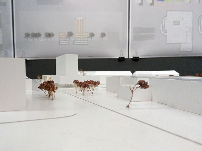 Siegerprojekt marte.marte architekten