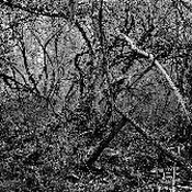 Landschaft-2 _10_72_tollerian.jpg