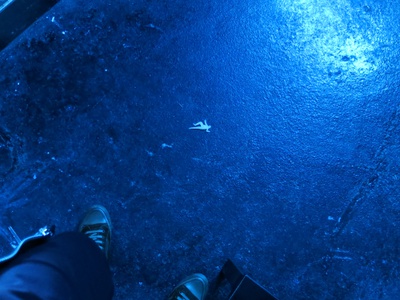 Pamela Neuwirth und Tanja Brandmayr: Ich, der Mietnomade