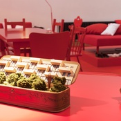 Ausstellung Neue Standards im DAZ