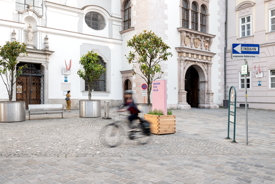 Bodenprofile, Boden für Alle – © Violetta Wakolbinger Bodenprofile, Boden für Alle