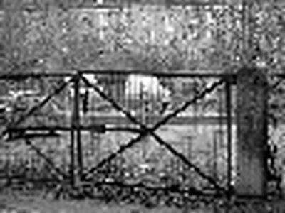 Frank-quer_12_72.jpg