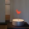 Sensing Place / Placing Sense