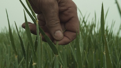 GERLACH
NL 2023
R: Aliona van der
Horst, Luuk Bouwman,
76 Min.