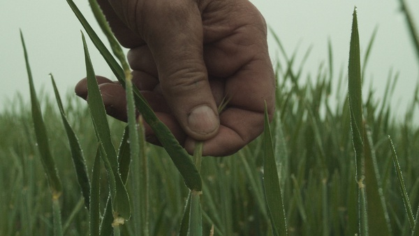 GERLACH
NL 2023
R: Aliona van der
Horst, Luuk Bouwman,
76 Min.