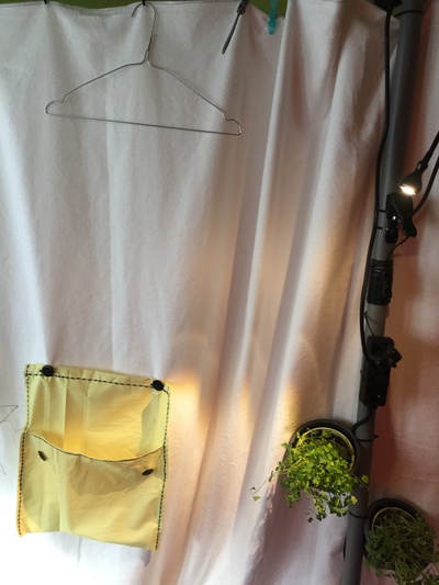 50 minuten und 50 euro – © caramel architekten 50 minuten und 50 euro