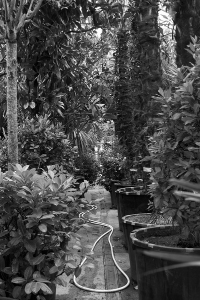 Im Archiv, Pio Rahner (AIR2017)