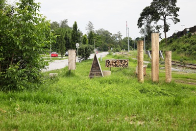 Insect City, Ivan Juarez