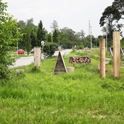 Insect City, Ivan Juarez