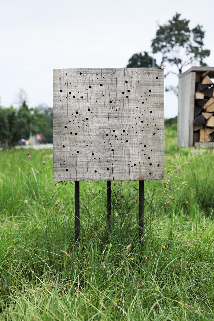 Insect City, Ivan Juarez