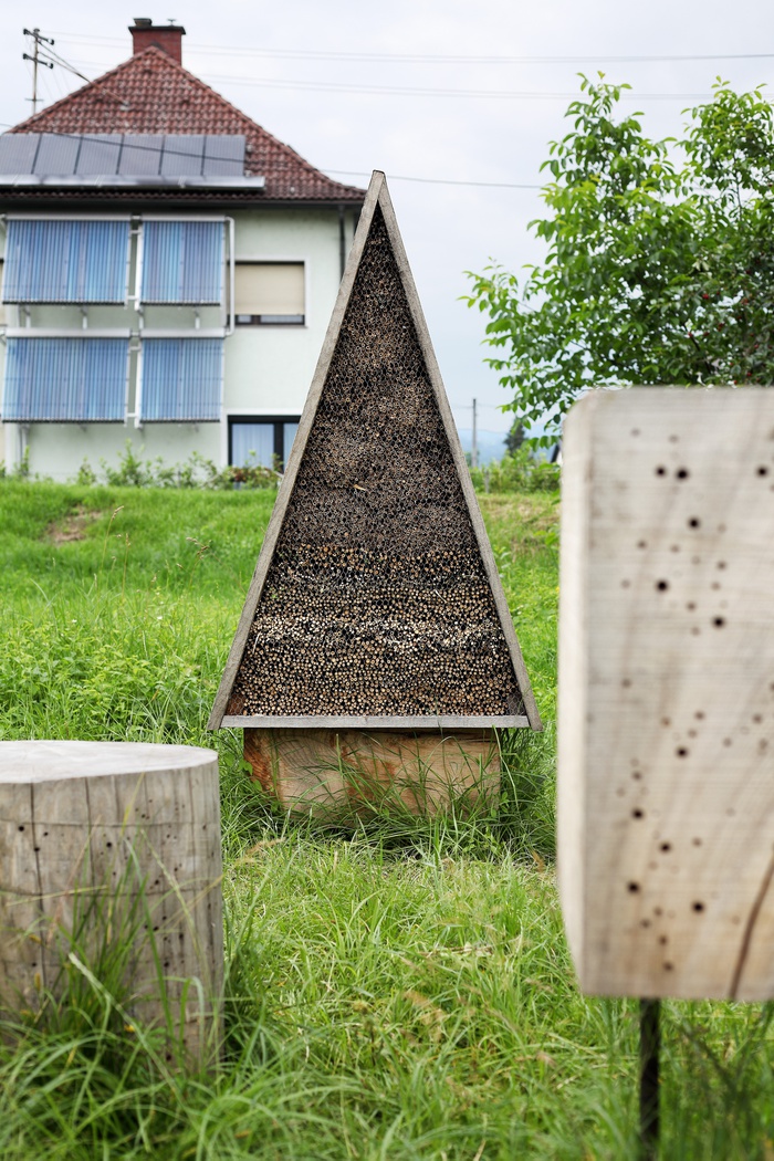 Insect City, Ivan Juarez