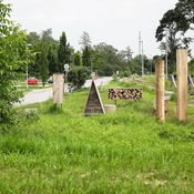 Insect City, Ivan Juarez
