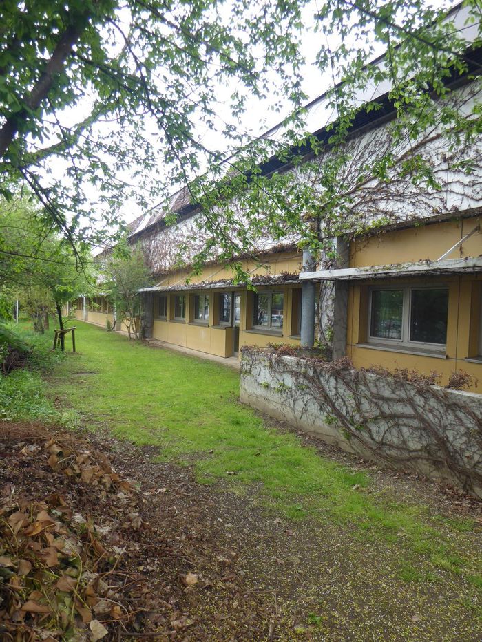 Alpen-Adria-Gymnasium Völkermarkt, Foto: © Peter Nigst