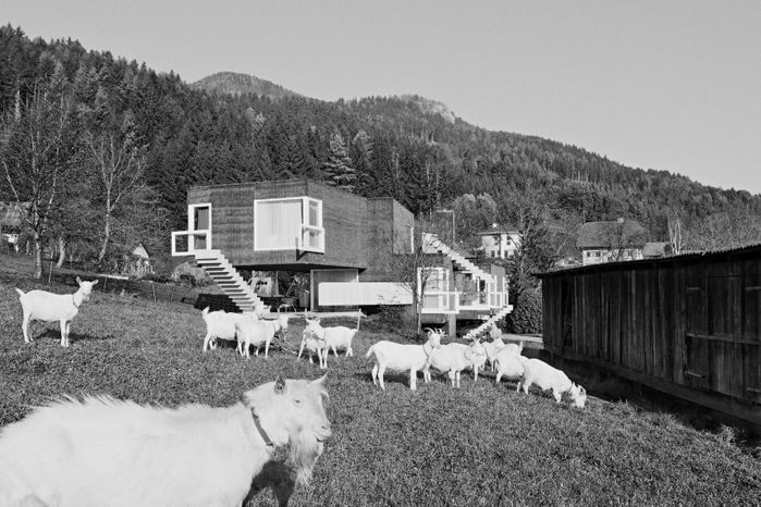 Winner: Single-Family House surplus value01, Laufnitzdorf, planned by weichlbauer / ortis