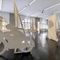 Ausstellungsansicht Autokorrektur