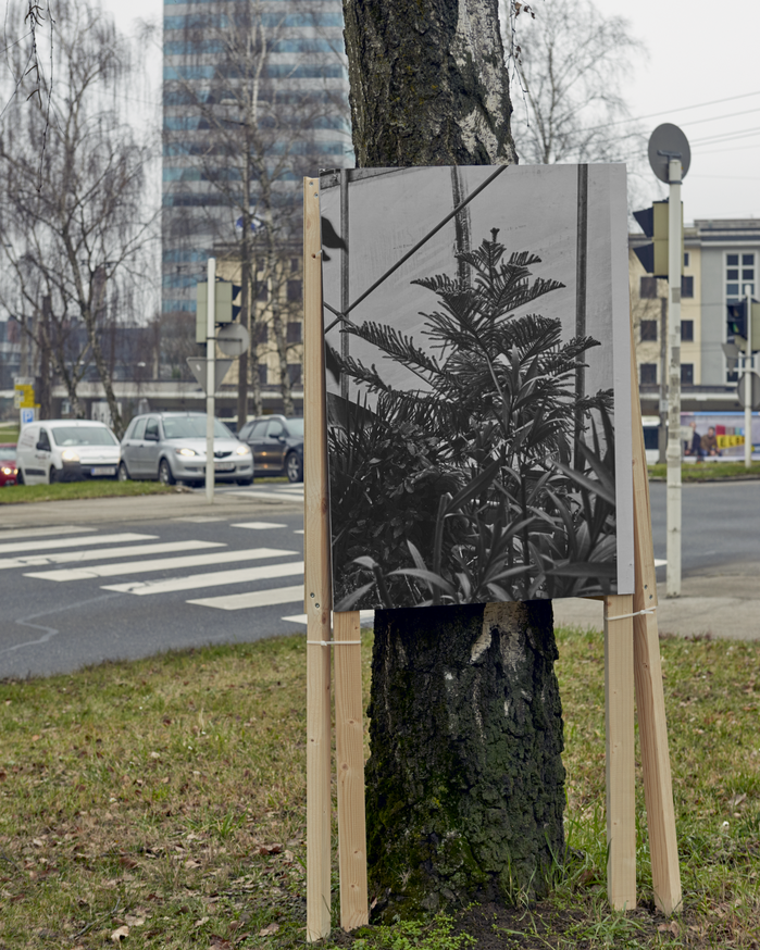 Im Archiv. Wo ist das Stadtbegrün im Winter?