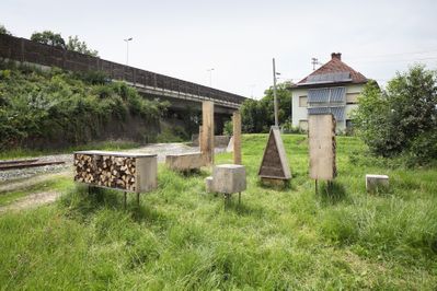 Insect City, Ivan Juarez –