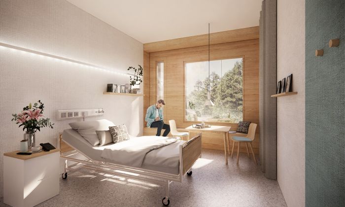 Schaubild Landeskrankenhaus Rankweil