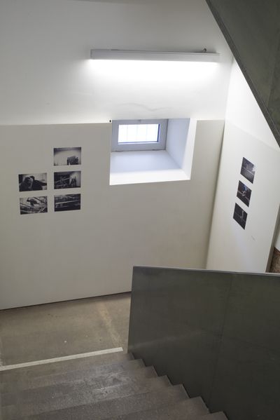 architektur + tanz Ausstellungsansicht