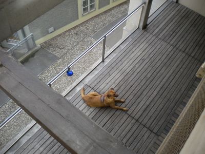 Ehemalige Stadtmühle von Gangoly & Kristiner Architekten
