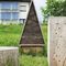 Insect City, Ivan Juarez