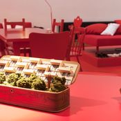 Ausstellung Neue Standards im DAZ