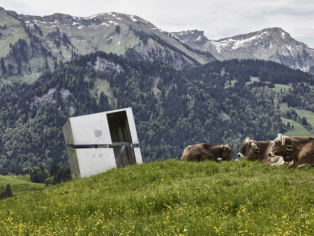 Georunde Rindberg, Sibratsgfäll, Vorarlberg
